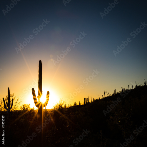 Sun setting behind a giant saguaro cactus in the desert southwest