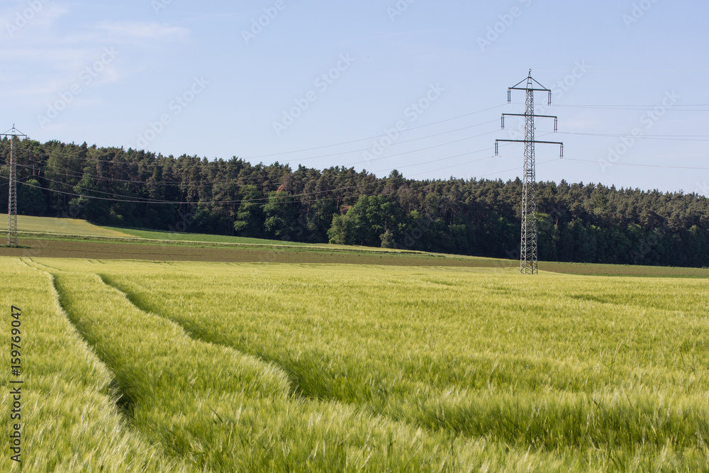 summer landscape summer landscape