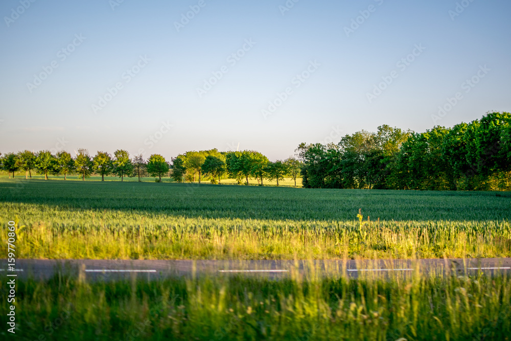Fototapeta premium Beautiful green nature in Europe from the road