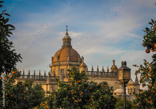 Cathedral and  oranges in Jerez de la Frontera