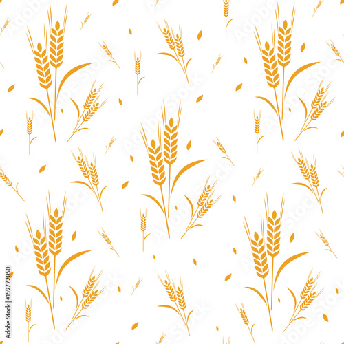pattern wheat grain harvest
