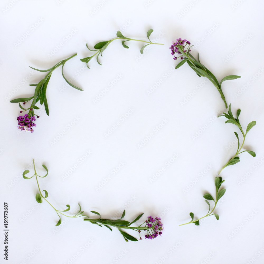round festive frame/ Flat layout of leaves of lavender and flowers Alyssum top view 