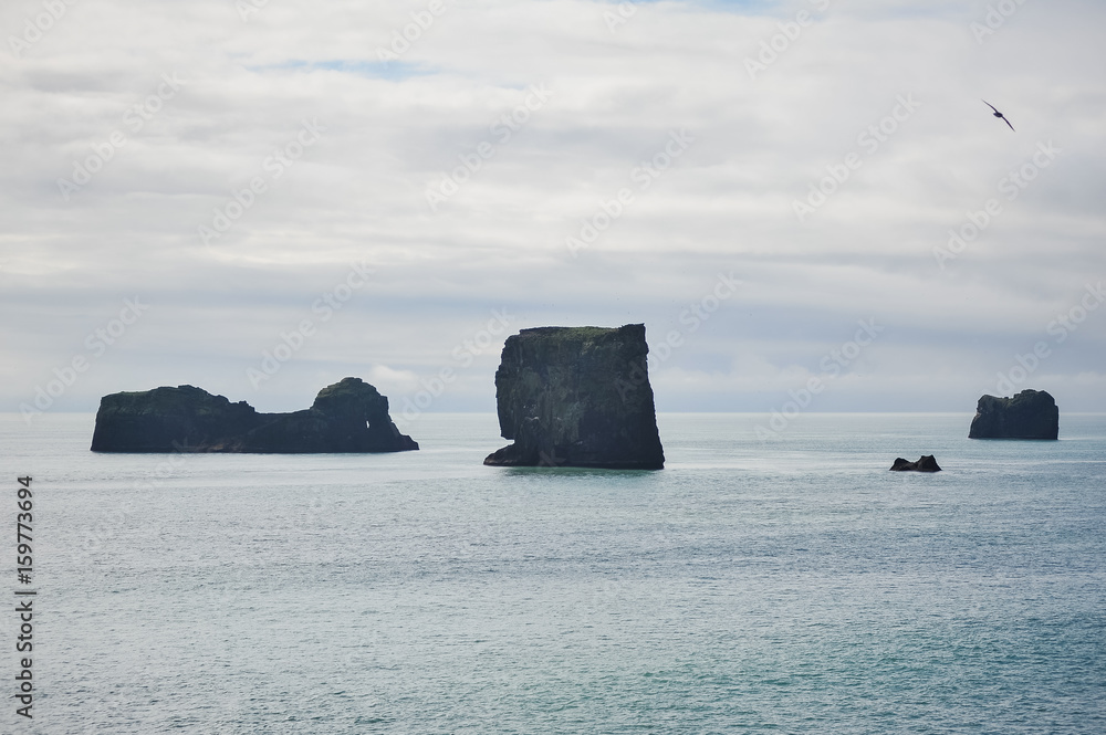 beautiful seascape of iceland