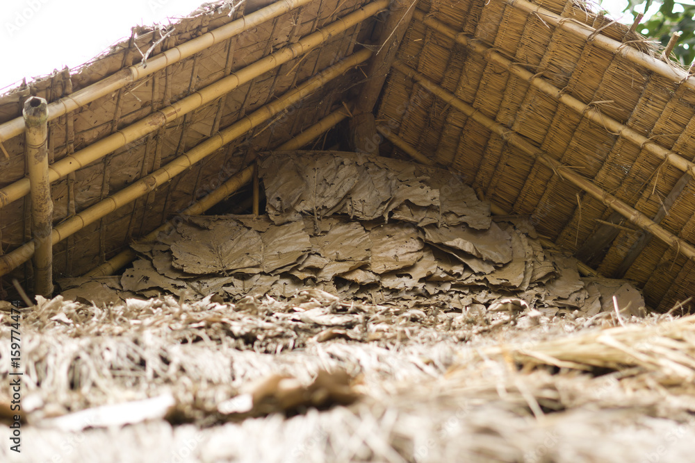 Natürliche Hintergrundstruktur Blätter Holz Natürliche Hintergrundstruktur Blätter Holz