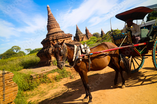 ミャンマー、ヤンゴンでの馬車移動