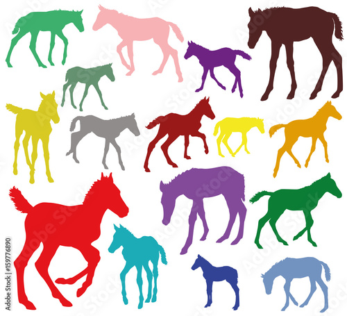 Colorful Set of silhouettes of foals