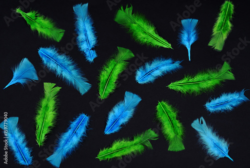 pattern of feathers