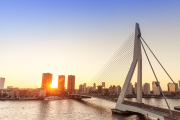 Fototapete Rotterdam Rotterdam Hafenblick mit Schwanenbrücke  © fotolupa