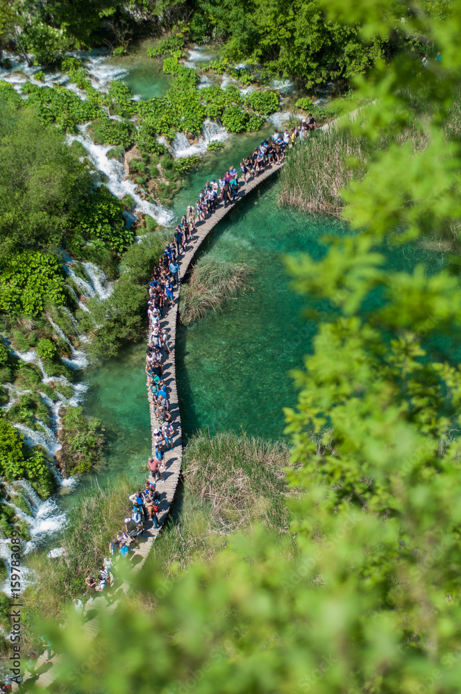 Naklejka premium path along waterfalls