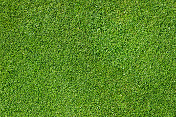 Top view of golf course green as a background
