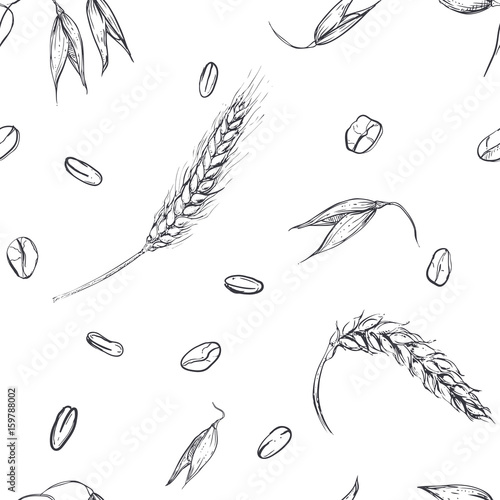 Hand drawn seamless pattern of plant oats, wheat grain. illustration on white background. sketch. vector eps 8 photo
