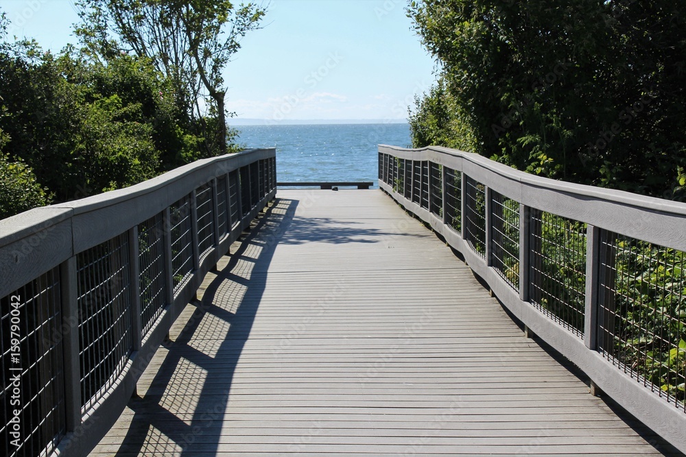 Obraz premium A bridge to a beach in early summer