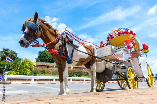 Horse carriage at Phrathat Lampang Luang temple in Lampang, Thailand