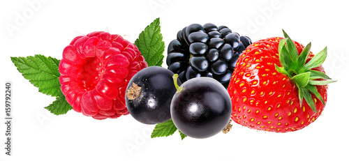 Raspberry, blackberry, currant, strawberry isolated