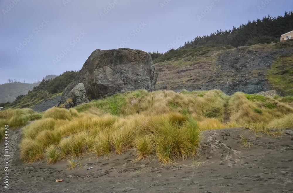 Obraz premium Gold Beach, Oregon (beach scenes)