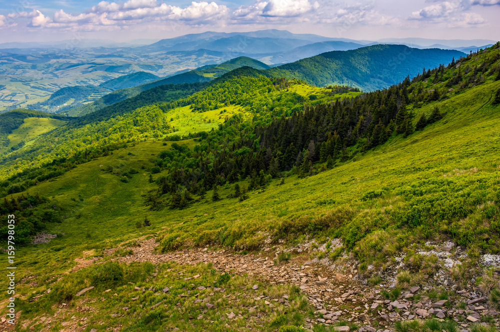 Naklejka premium footpath down the hill through forest on mountain ridge