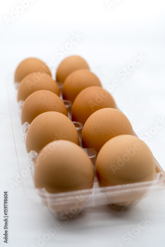 ten brown eggs