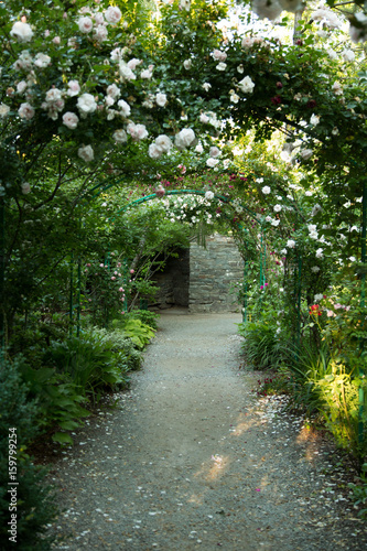 Rose Garden Path