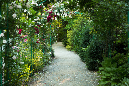 Rose Garden Path