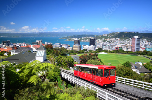 Wellington City