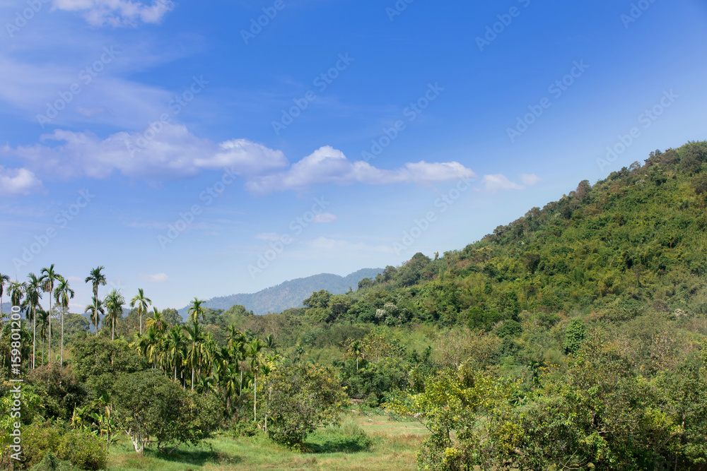 Thai forest outback landscape. Forested hills and meadows,