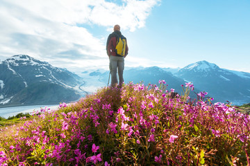 Hike in Salmon glacier