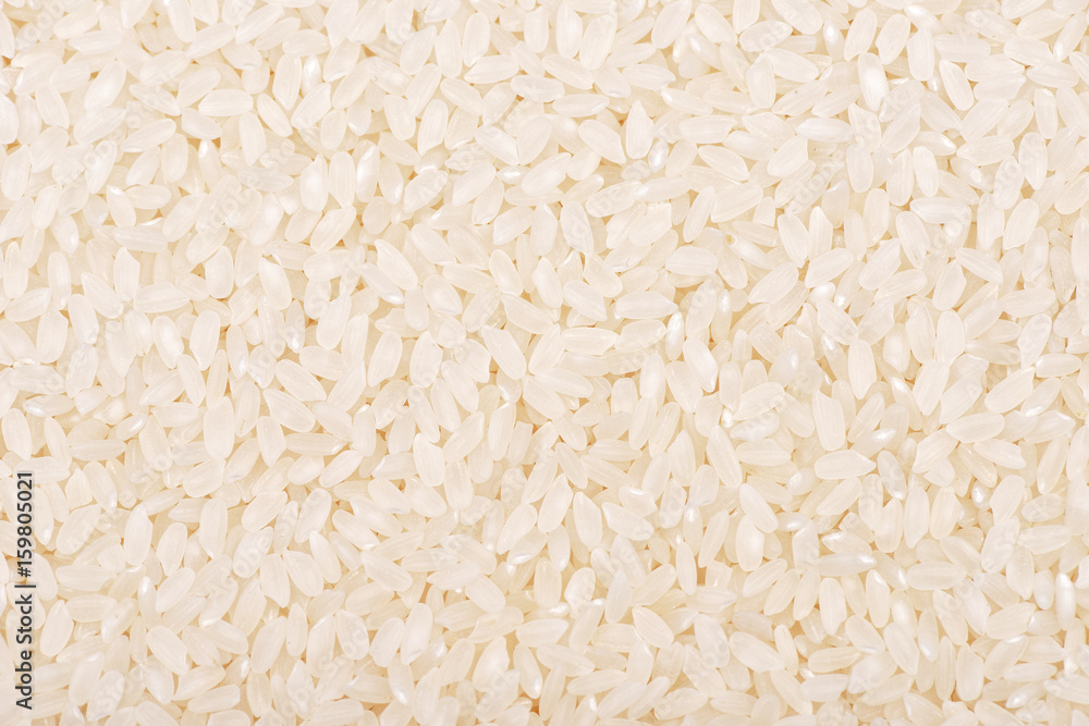 rice rice