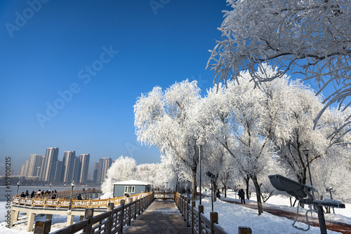 The impression of winter