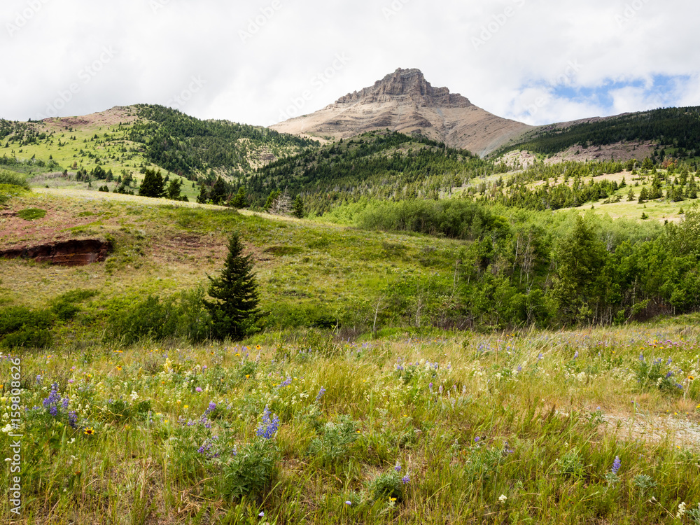 Naklejka premium Alpine scenery in Waterton Lakes national park, Canada