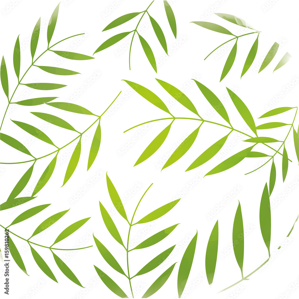 Naklejka premium beautiful flowers background colorful design vector illustration