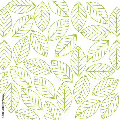 beautiful flowers background colorful design vector illustration
