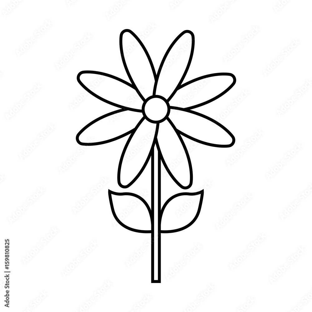 beautiful flower icon over white background vector illustration beautiful flower icon over white background vector illustration