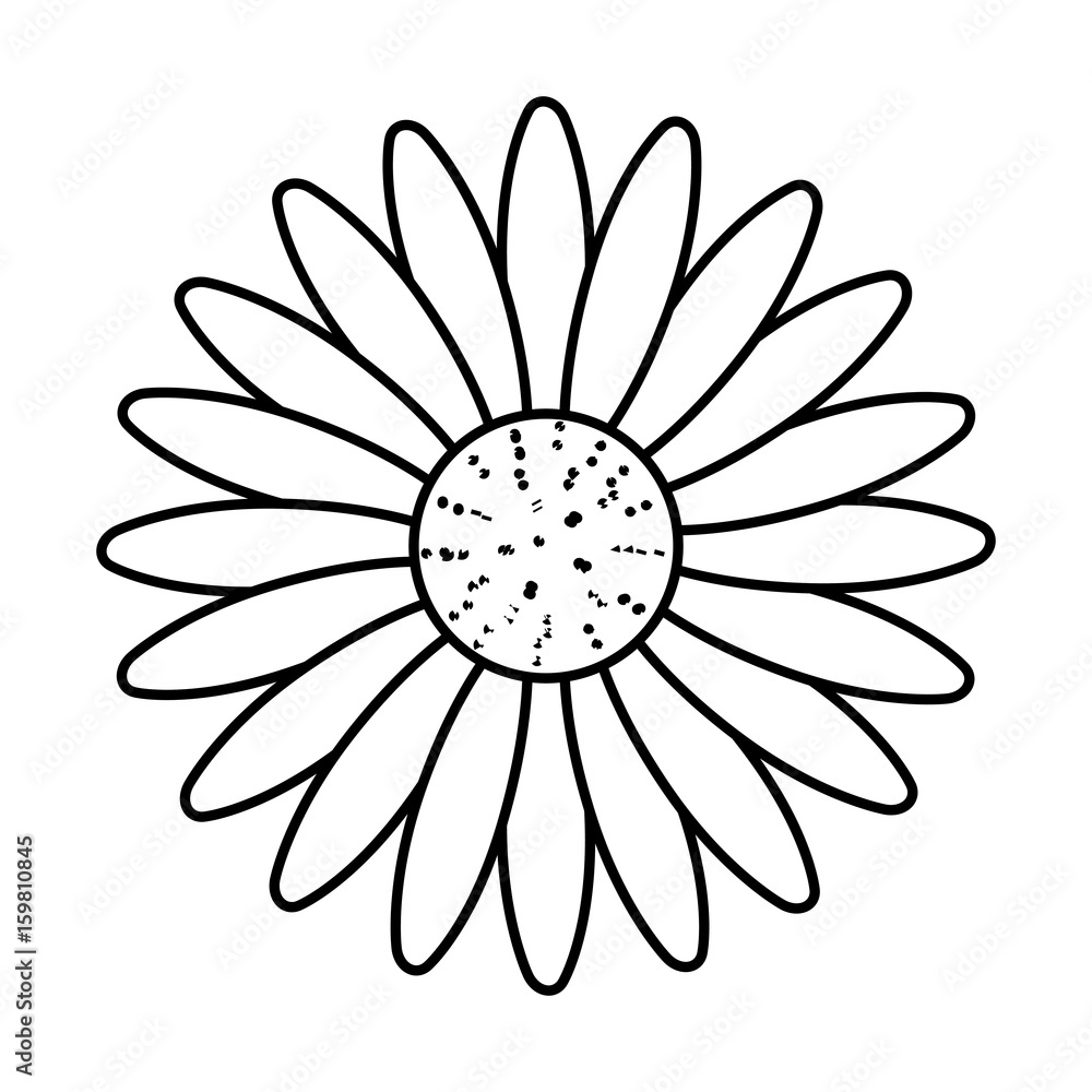 beautiful flower icon over white background vector illustration