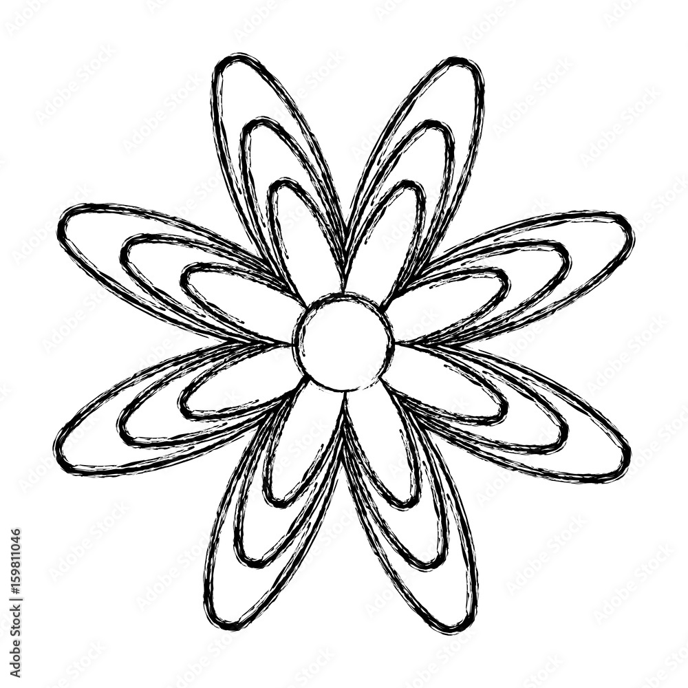 beautiful flower icon over white background vector illustration beautiful flower icon over white background vector illustration