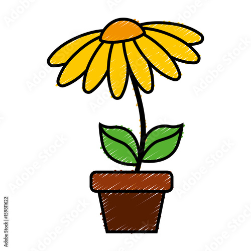 beautiful flower in a pot icon over white background colorful design  vector illustration