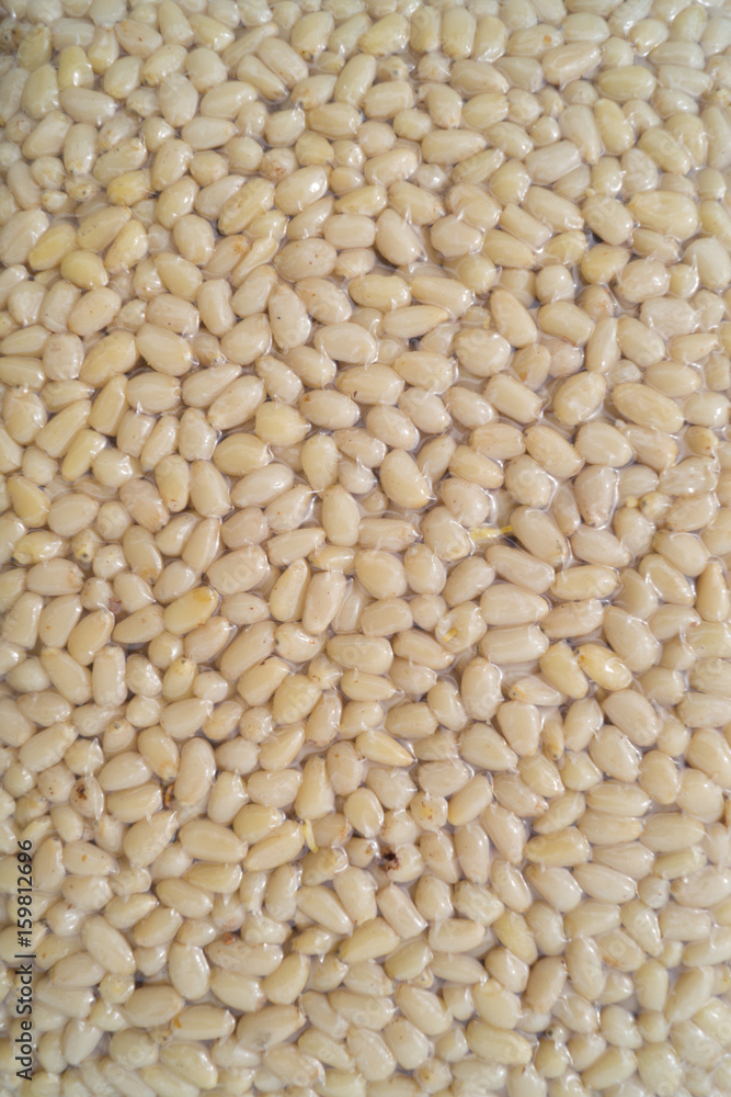 Fototapeta premium Pine nuts