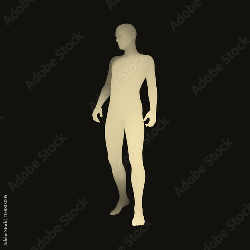 Standing Man. 3D Human Body Model. Design Element. Man Stands on his Feet. Vector Illustration.