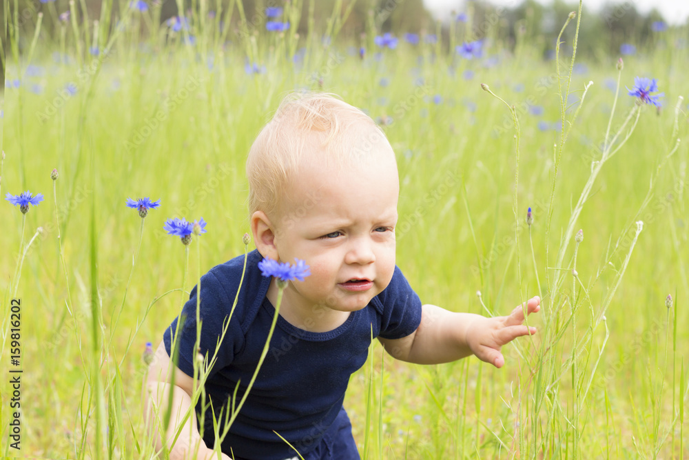 Cute infant boy with funny facial expression in the knapweed field Cute infant boy with funny facial expression in the knapweed field