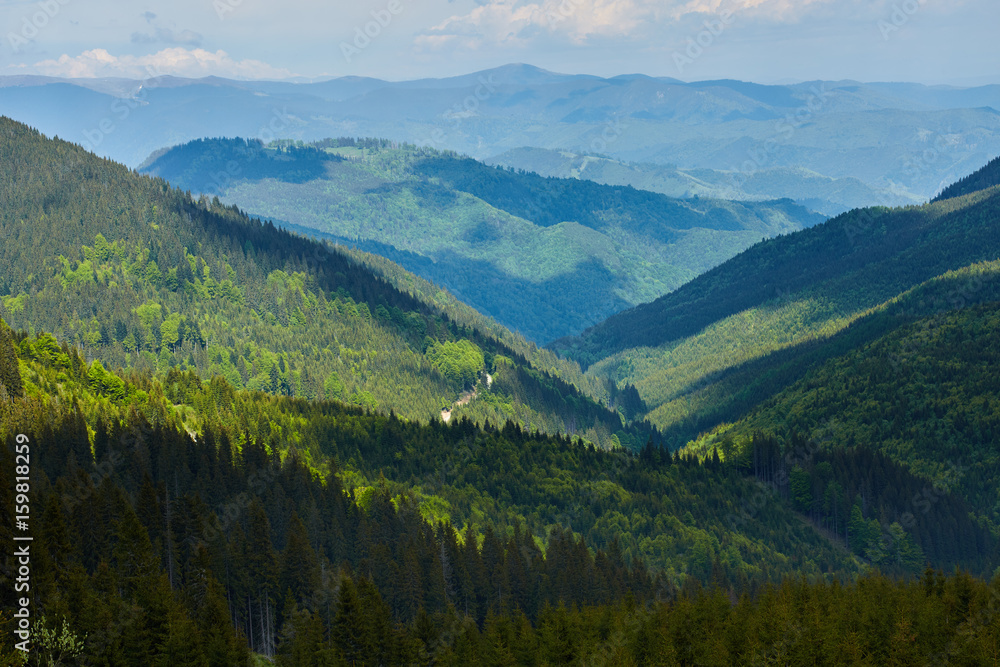 Fototapeta premium Mountains covered in lush forests