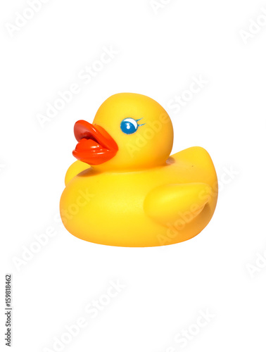 Yellow toy ducks with orange beaks seen from above while swimming, white background.  