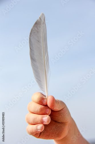 feather in hand sea view