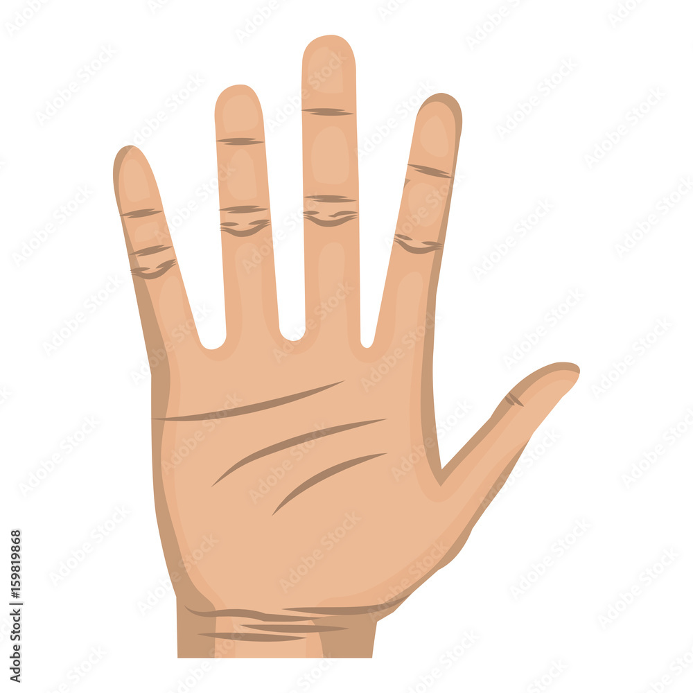 Obraz premium hand human open icon vector illustration design