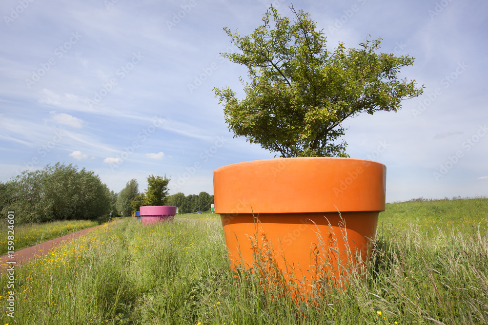 Obraz premium Huge flowerpots in the Netherlands