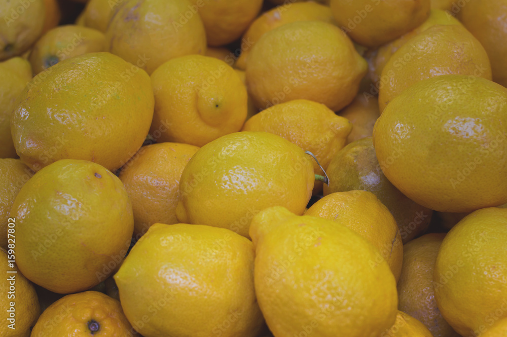Lemon for sale on market. Agriculture background. Top view. Close-up