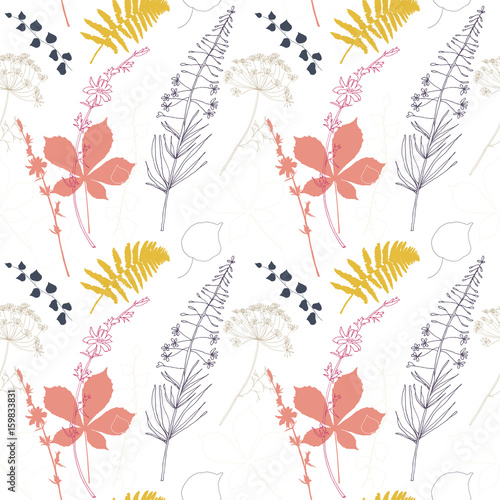 Vector floral seamless pattern  with  fireweed, chicory, dill flowers and fer...