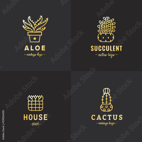 Succulents and cacti gold vector set. Part two.