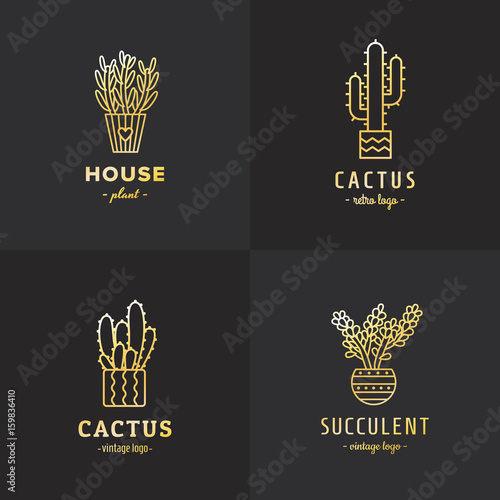Succulents and cacti gold vector set. Part one.