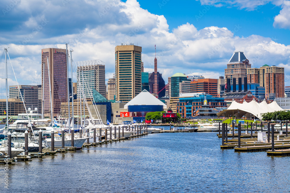 A marina and view of the Inner Harbor in Baltimore, Maryland. - obrazy, fototapety, plakaty 
