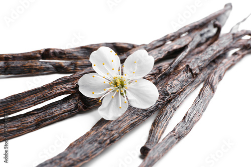 Dried vanilla sticks and flower on white background, closeup