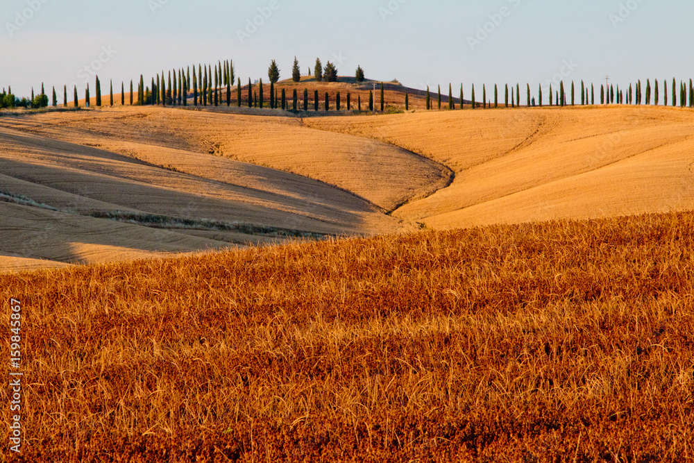 Obraz premium Campagna senese